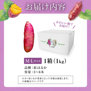 【数量限定】なまら甘い！北海道雨竜町産 さつまいも 「紅はるか」  Ｍ-Ｌサイズ 1kg 大きめサイズ 産地直送 さつまいも サツマイモ 北海道 国産 おやつ お菓子作り 料理