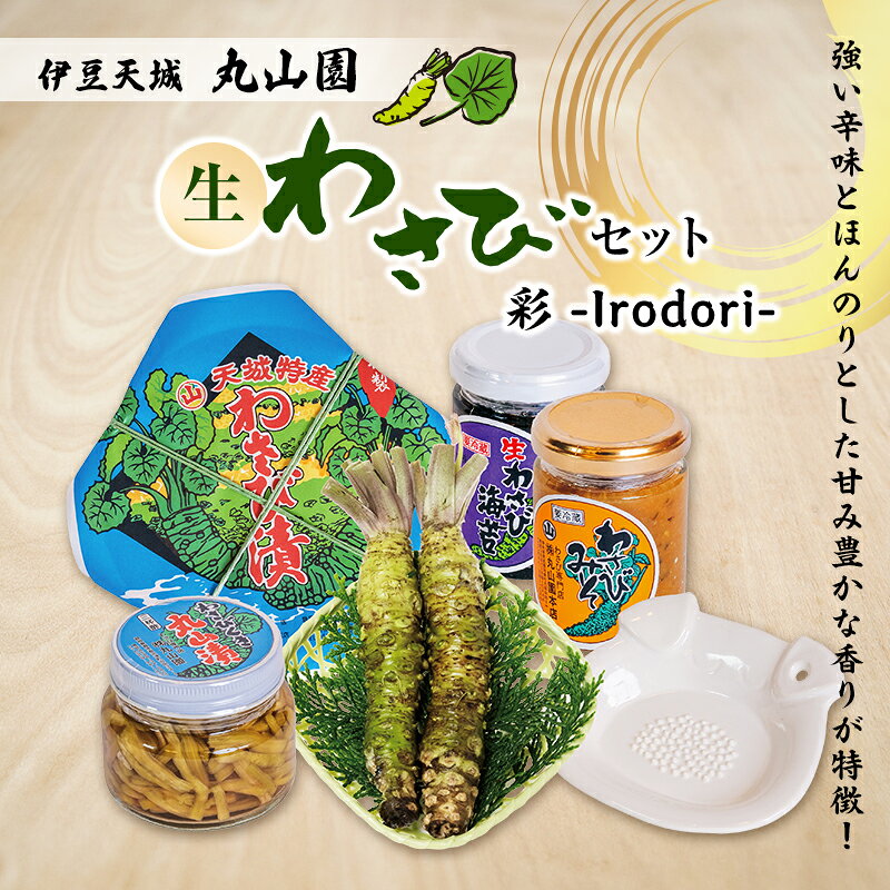 【ふるさと納税】わさび海苔 伊豆天城 セット 詰め合わせ わさびセット 彩 生わさび わさび漬 わさびみそ わさびくき 陶器おろし 丸山園 河津町 静岡県