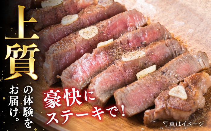 ヒレステーキ ステーキ ヒレ フィレ 牛肉 赤身 国産 肉 和牛  黒毛和牛