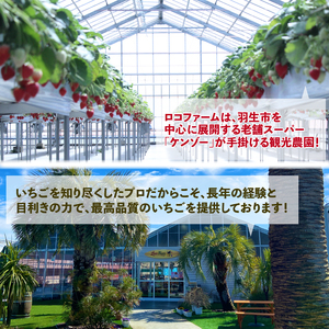 【予約】あまりん 苺 500g 全国いちご選手権 3年連続最高金賞 (250g×2P) 苺