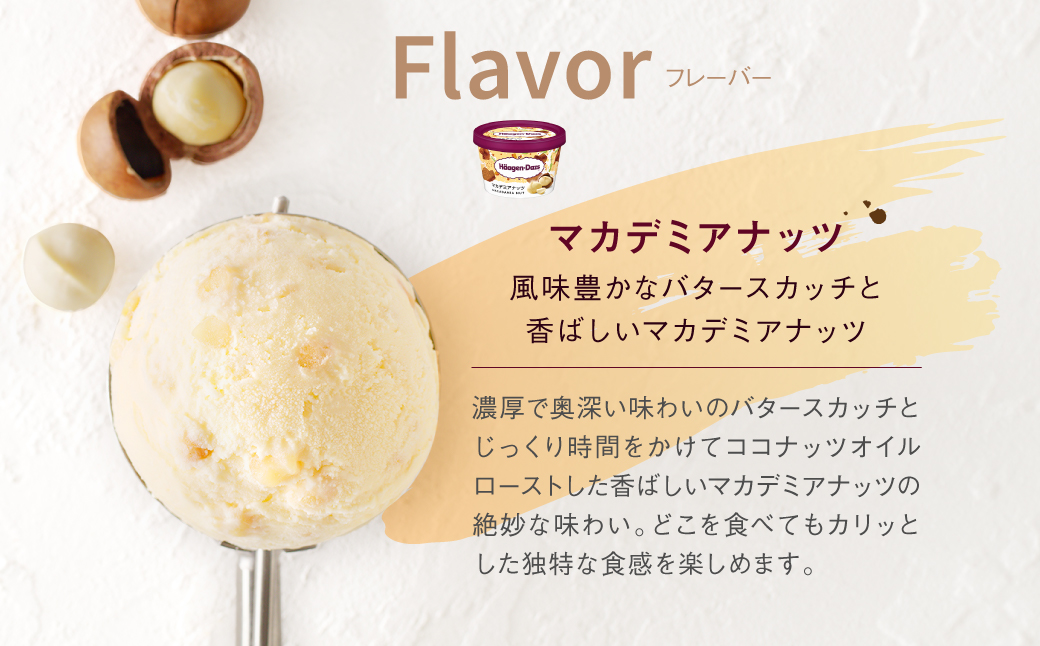 ハーゲンダッツ『ミニカップ8個セット（マカデミアナッツ味）』アイスクリーム アイス スイーツ デザート_H0016-108