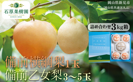 詰め合わせ 3㎏箱 赤秀 備前横綱梨1玉(1～1.5㎏玉)・備前乙女梨３～5玉 【先行予約 2026年11月中旬から順次発送】