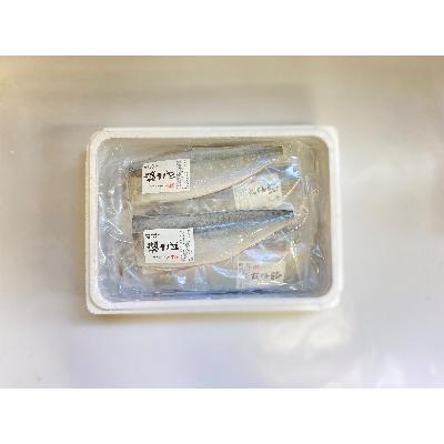 ふるさと納税 唐津市 <唐津・昭徳>大きくて脂ののった国産塩さば 10枚(S6) |  | 03