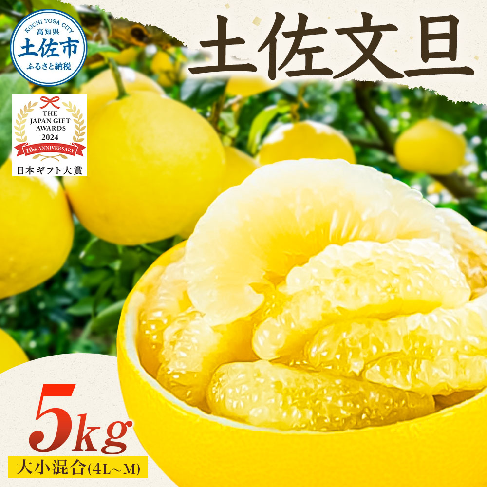 【日本ギフト大賞2024受賞】先行予約 園主こだわりの土佐文旦 5キロ 大小混合（４L - Mサイズ） 2026年1月下旬より順次発送 ぶんたん ブンタン 柑橘 みかん フルーツ 果物 家庭用 お取り寄せ 土佐 高知 やの一果彩