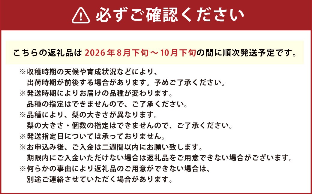 大分県九重町産 梨詰め合わせ 約10kg