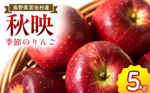 季節のりんご『秋映』（５ｋｇ）（予約制）（りんご 林檎 フルーツ ビタミン 果物 くだもの 食品 人気 上伊那 宮田村 長野 信州 甘い 新鮮 人気 ギフト 贈答 プレゼント 贈り物 特産品）
