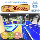 【ふるさと納税】『トランポリンの森 RolyPoly』で使えるクーポン 900円分~36000円分