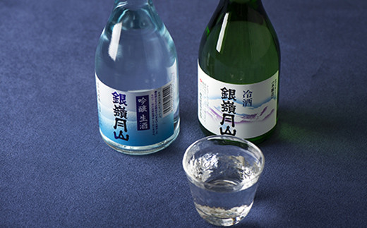 FYN6-583 山形の地酒【銀嶺月山】冷酒飲みくらべセット各300ml×6本 山形県 西川町
