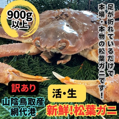 【さかなや新鮮組】鳥取県産 訳あり 活松葉ガニ(900g以上) 1枚 漁港直送【配送不可地域：離島・北海道・沖縄県・東北・信越、北陸】