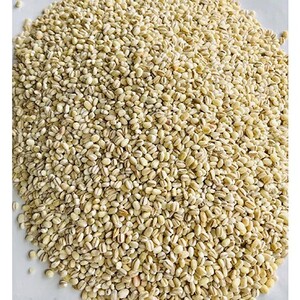 有機もち麦 3袋 1500g｜お米 もち麦 食品 無農薬 食物繊維 有機栽培 SS-4