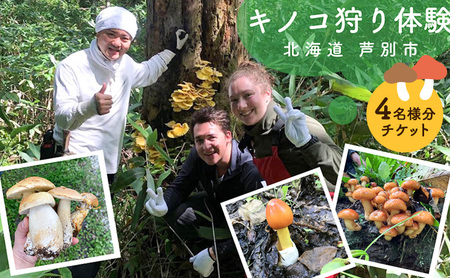 季節のキノコ狩り 4枚 (4名様分) ioru 体験型 体験 北海道