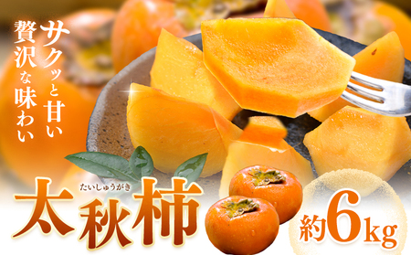 【先行予約】柿 太秋柿 たいしゅうがき 約6kg 日本フルーツ株式会社《2026年9月上旬-10月下旬頃出荷》熊本県 菊池市 秋の味覚 果物 くだもの フルーツ デザート
