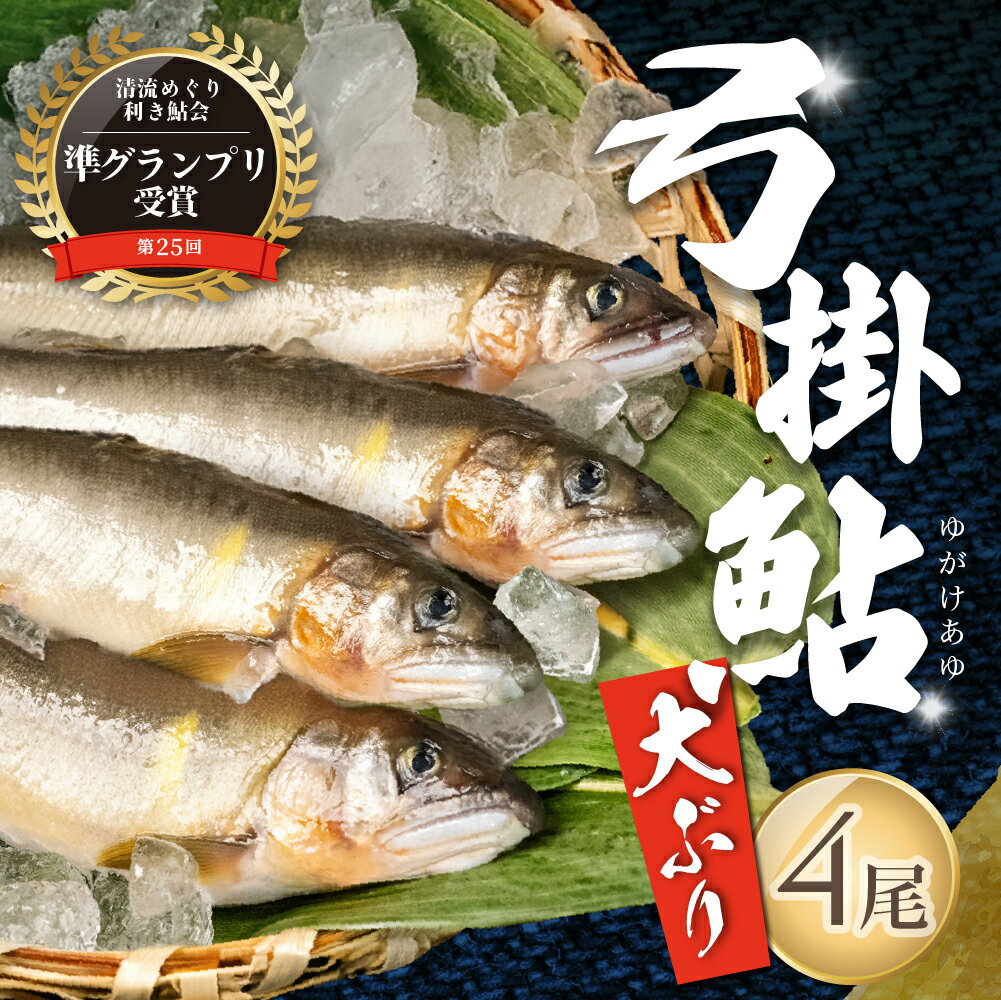 【ふるさと納税】（2026年8月中旬頃から発送）幻の弓掛鮎　4尾以上 大型（1尾 約80g前後以上）計320g以上【冷凍パック】】鮎 あゆ アユ ゆがけ 下呂市 金山 クラブハウス馬瀬川