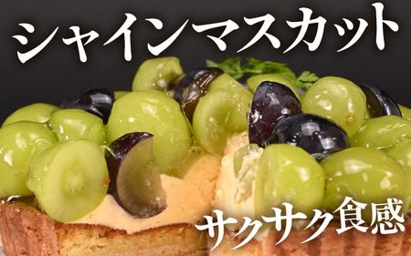 先行予約 シャインマスカットのフレッシュタルトケーキ 5号：直径15cm (4〜5人前) 850g 2026年9月発送 スイーツ ケーキ [A-5220_09]