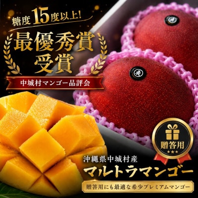 【2026年6月下旬から順次発送】マルトウマンゴーの贈答用アップルマンゴー2kg【配送不可地域：離島】