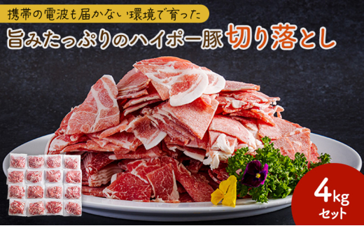 [№5681-0144]豚肉 阿武町産 豚 切り落とし 4kgセット | 携帯の電波も届かない環境で育った旨みたっぷりのハイポー豚 豚 肉 お肉 ※配送不可:離島