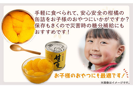 甘夏缶詰24缶入り (12缶×2箱)《60日以内に順次出荷(土日祝除く)》熊本県 葦北郡 津奈木町 あしきた農業協同組合 JAあしきた 柑橘 甘夏 あまなつ フルーツ 果物 缶詰 送料無料