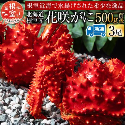 ふるさと納税 根室市 ＜12/21まで年内配送＞★花咲がに500g前後×3尾(計1.5kg) A-54013