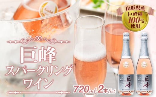 
            【レビューキャンペーン実施中】巨峰スパークリングワイン２本セット 巨峰 ワイン スパークリング 山梨 富士河口湖 笛吹
          
