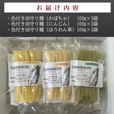 ふるさと納税 雲南市 グルテンフリー米粉麺　田守り麺彩りセット|無添加・米粉100%で身体に優しい |  | 02