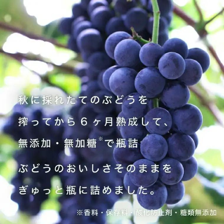 紫波町のぶどうジュース 2本セット 6か月熟成 濃厚100％ストレート 【 無添加 無加糖 】（AL062-1）