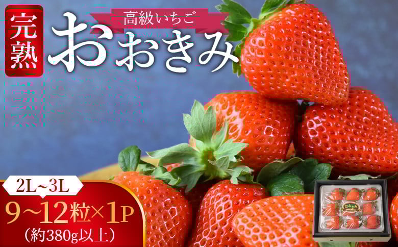 
            高級いちご「おおきみ」（9～12粒×1パック約380g以上）【 選べる 贈答用 簡易包装 ご家庭用 いちご イチゴ 苺 先行予約 甘い 大きい 果物 フルーツ 季節物 お祝い お返し サンクール・スマイルファーム 】2025年1月上旬から4月末迄に順次出荷
          