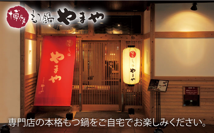 【スープに溶け込む旨味】博多もつ鍋 セット あごだし醤油味 5～6人前＜やまや＞那珂川市 [GAK021]