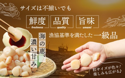 【ふぞろい品】ホタテ玉冷1.5kg 北海道オホーツク産