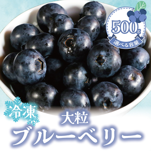 冷凍ブルーベリー 約500g（1袋500g） ブルーベリー ブルーベリー ブルーベリー ブルーベリー ブルーベリー アグリモバード