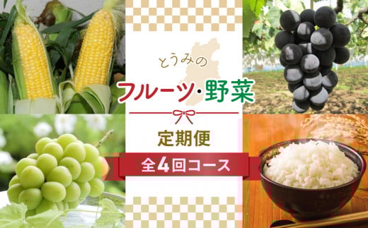 【全4回】とうみのフルーツ・野菜頒布会 | とうもろこし スイートコーン ぶどう 巨峰 シャインマスカット 新米 定期便 人気 2026 先行受付 長野県 東御市
