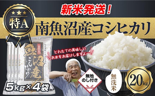 
                  【令和8年産　新米予約】無地のし 「無洗米」 新潟県 南魚沼産 コシヒカリ お米 5kg×4袋 計 20kg 精米済み（お米の美味しい炊き方ガイド付き） お米 こめ 白米 こしひかり 魚沼 南魚沼 南魚沼市 新潟県産 新潟県 産地直送【2026年10月中旬より1ヶ月以内に順次発送予定】
                