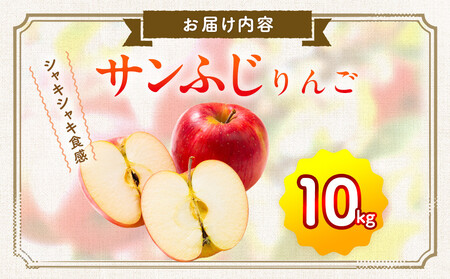 サンふじリンゴ（１０ｋｇ）（予約制）[ りんご りんご りんご りんご りんご りんご ]