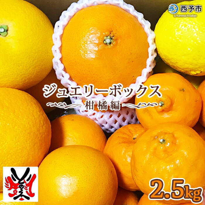 【ふるさと納税】＜愛媛県明浜産 ジュエリーボックス(柑橘編) 柑橘多品種 計約2.5kg＞ みかん ミカン せとか きよみ いよかん ばんかん はるか 果物 フルーツ デザート 渡江から一歩を踏み出す会 特産品 愛媛県 西予市 【常温】『ご希望の配送月をお選びください』