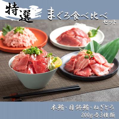 ふるさと納税 静岡市 【静岡】鮪食べ比べセット200g3種:本鮪切落し200g メバチ鮪切落し200g ねぎとろ200g