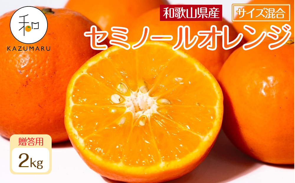 贈答用 森本農園の手選別 厳選セミノールオレンジ 約2kg 和歌山県産 サイズ混合 ［北海道・沖縄・離島配送不可］［2027年4月中旬から順次発送］［RN110］ 303446_DJ90110