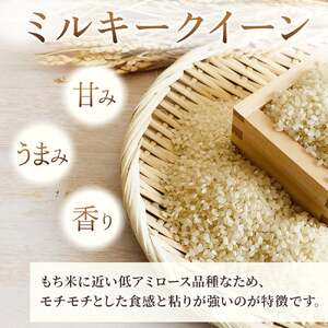【 令和6年産 新米 】 『 ミルキークイーン 』 5kg【農薬節約栽培】北上産 せいぶ農産 米 岩手県 北上市 D0462 国産 お米 こめ ご飯 ごはん ご飯 ふっくら 弁当 新米 炊きたて 白米