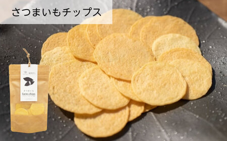 お菓子 ファームチップスセット [BAGP001] お菓子