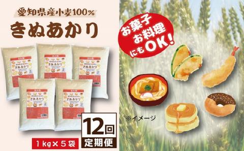 【小麦粉】愛知県産 きぬあかり 国産 薄力粉 1kg×5袋(計5kg) 定期便12回 H008-248