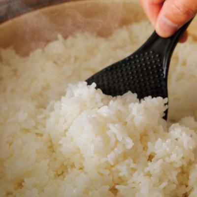 ふるさと納税 四万十市 【令和7年産 数量限定】四万十の山間地域で育てた大宮米(コシヒカリ)10kg 26 |  | 02