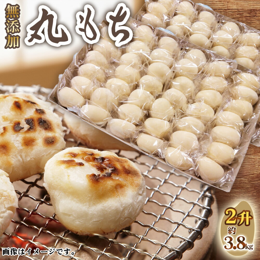 【ふるさと納税】No.519 丸もち2升 ／ モチ 餅 おもち 丸餅 国産 佐賀県産 ヒヨクモチ 無添加 個包装 送料無料 愛知県