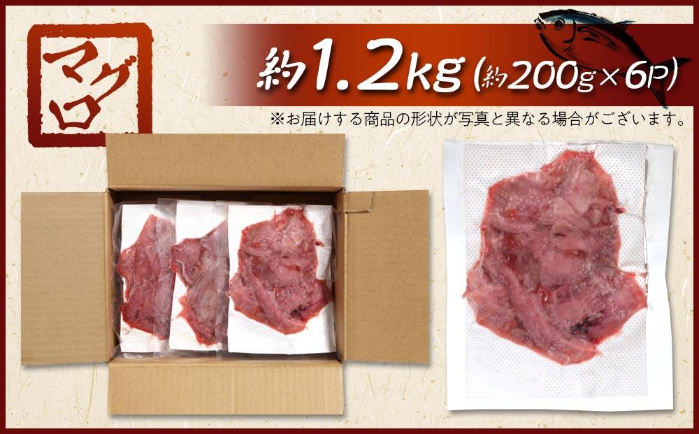 長崎県産 本マグロ中落ち 約1.2kg（約200g×6パック）セット