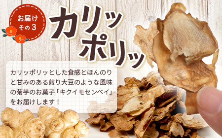 【福袋】白菊芋まるごと満喫３種セット SK-15-fb｜ コーヒー 菊芋 白色菊芋 コーヒー パウダー 菊芋せんべ ノンカフェイン 野菜茶 きくいも お茶 焙煎 ギフト グルメ 鹿児島県 南大隅町 島