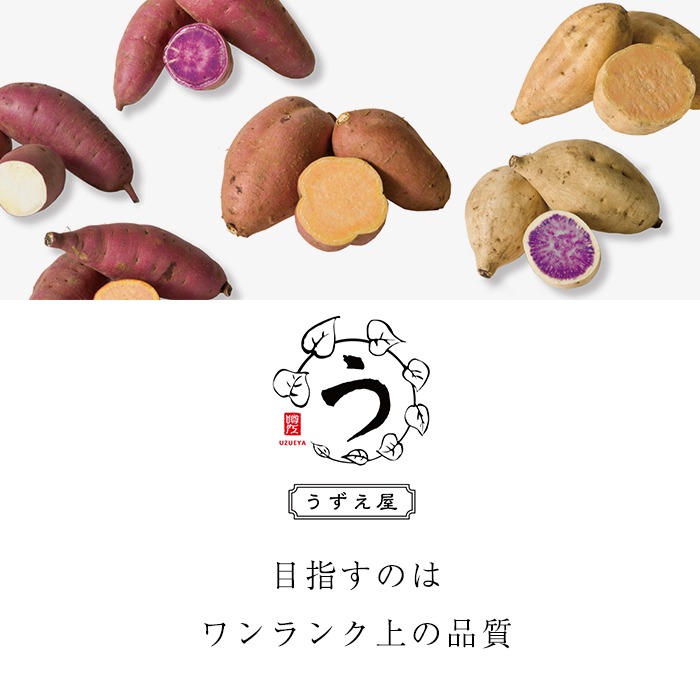 n276 《訳あり》先行予約受付中！2024年10月下旬より順次発送予定！種子島産 安納芋＜紅＞(期間限定容量11kg)【うずえ屋】