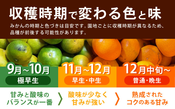 【2回定期便】※【11月より発送／先行予約】 伊木力みかん (家庭用) 10kg / みかん ミカン 蜜柑 柑橘 フルーツ ふるーつ 果物 くだもの / 諫早市 / 山野果樹園 [AHCF012]