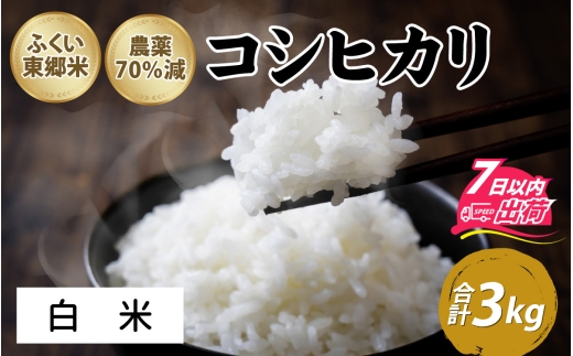 【先行予約】令和8年産 新米 ふくい東郷米 特別栽培米　農薬70％減コシヒカリ 3kg「2026年9月初旬より順次発送」【白米】[A-020018_01] / 3キロ コシヒカリ こしひかり 米 お米 こめ コメ 白米 ご飯 真空 袋 国産 送料無料 白米 精米 福井 令和8年 令和八年産