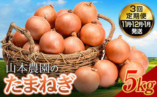 北海道産 山本農園のたまねぎ 5kg 3回定期便（11月・12月・1月発送） L大サイズ中心 農薬４割減 北海道南幌町産 2026年11月上旬発送開始 NP1-351