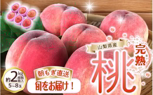 朝もぎ直送!『山梨県産　桃』約5～8玉 約2kg規格箱入り【高機能共選機使用】選び抜かれた桃《 もも 》　山梨県産 モモ/ フルーツ 果物 くだもの 人気 産地直送/厳選  贈答 贈り物【tab0182】