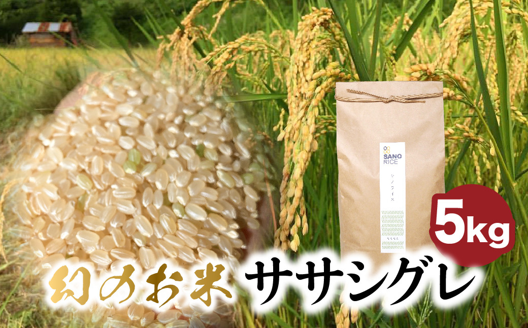 
【令和6年産】 ササシグレ 5kg 玄米 　米 ごはん お米 新米 無農薬栽培 無化学肥料栽培 サノライス [Q2331genx_24] 24000円
