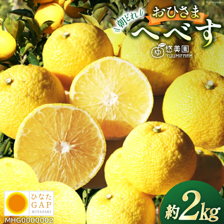 【ふるさと納税】 レビューキャンペーン 【期間限定発送】 おひさまへべす ひなたGAP認定 ふぞろい 2kg [へべすの悠美園 宮崎県 日向市 452060723] へべす ヘベス 宮崎 果物 フルーツ くだもの 柑橘 ポン酢 調味料 果汁