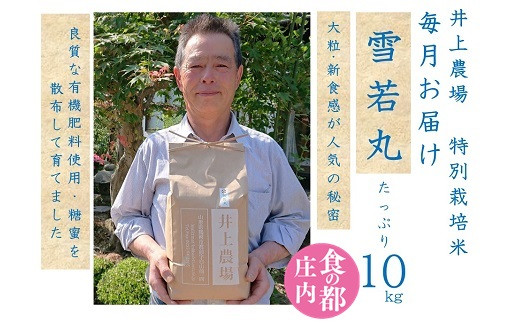 食の都庄内　【定期便12回】井上農場の特別栽培米雪若丸10kg×12回